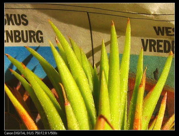 �����Ŀ������汦��~~~