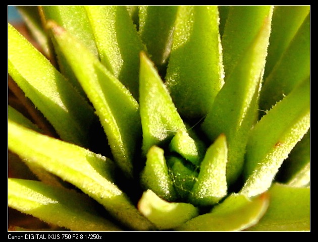 �����Ŀ������汦��~~~