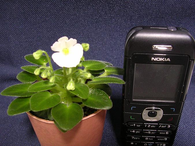 [��ˮ]��������ˮ��