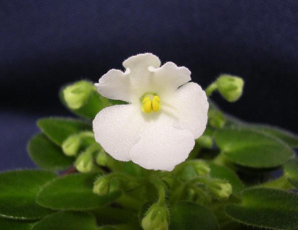 [��ˮ]��������ˮ��