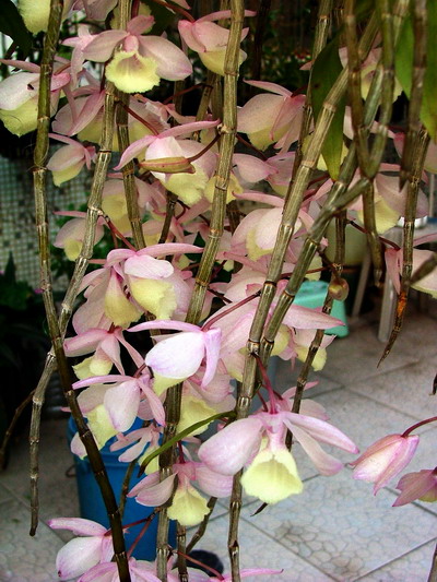 ���ִ�翴��Զ�޹�����---�칬ʯ��