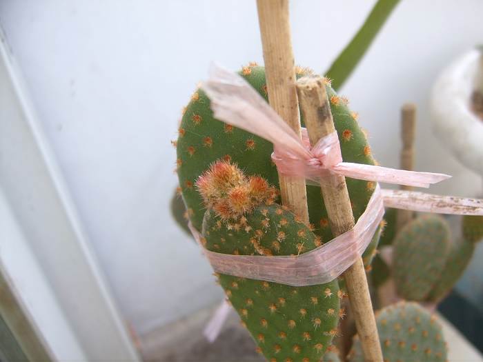 С������