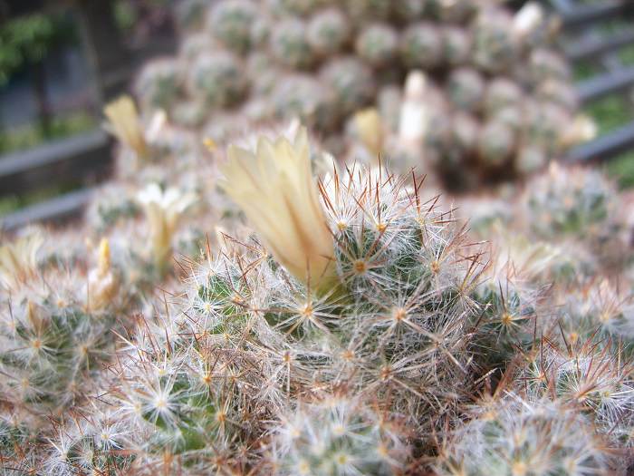 С������