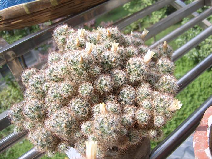 С������