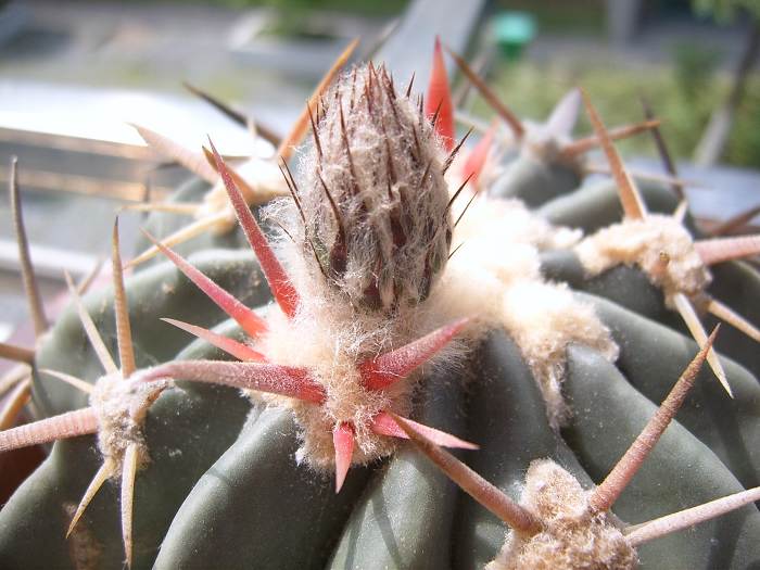 С������