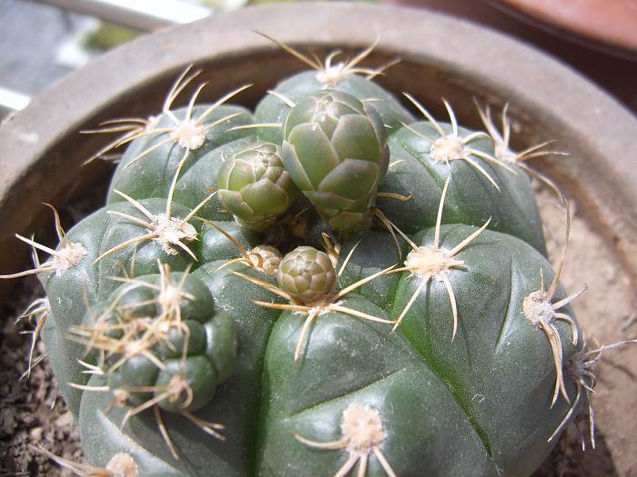 С������