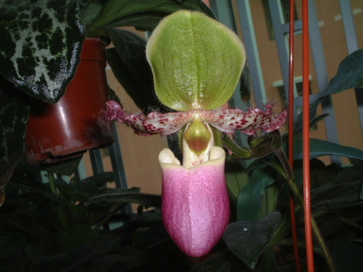 �m���Զ��m (��10¥ �Nֲһ��)