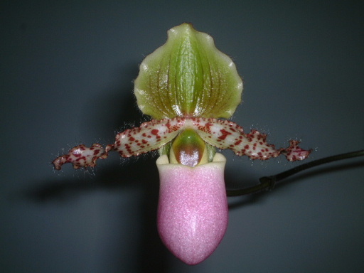 �m���Զ��m (��10¥ �Nֲһ��)