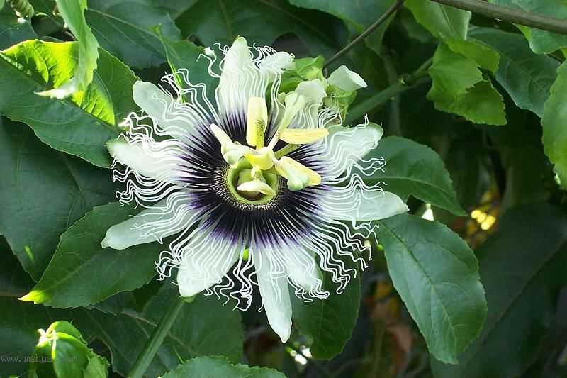 �ٸǸ�������¥