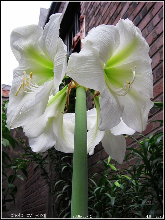 ���ز���~~~ʢ��