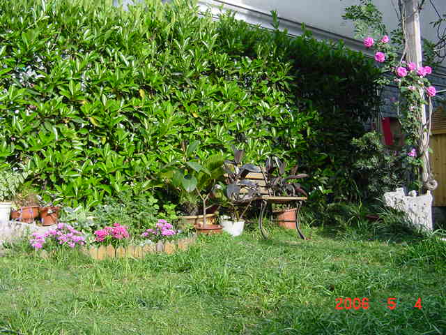 ����СԺ����P12 ���ٺ�����