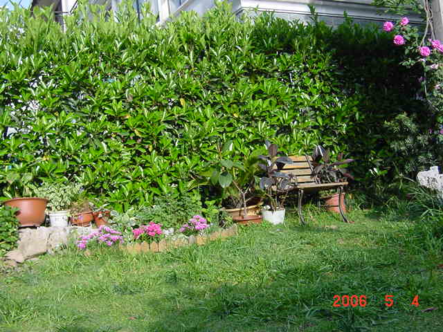 ����СԺ����P12 ���ٺ�����