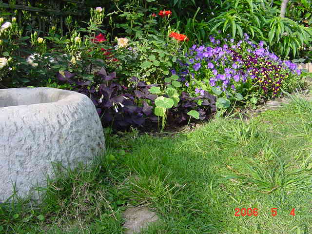 ����СԺ����P12 ���ٺ�����