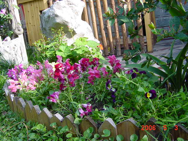 ����СԺ����P12 ���ٺ�����