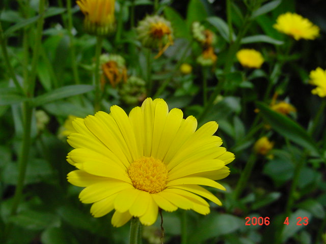 ����СԺ����P12 ���ٺ�����