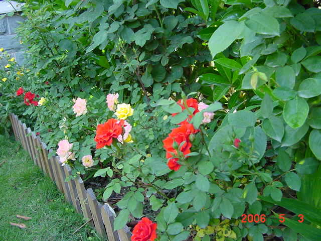 ����СԺ����P12 ���ٺ�����