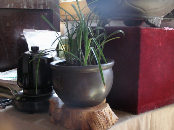 ������̨�ϵ�����÷