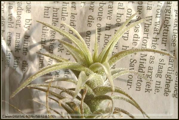 �����Ŀ������汦��~~~