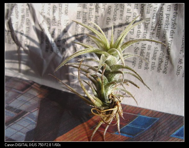 �����Ŀ������汦��~~~