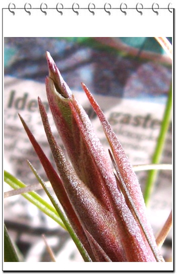 �����Ŀ������汦��~~~