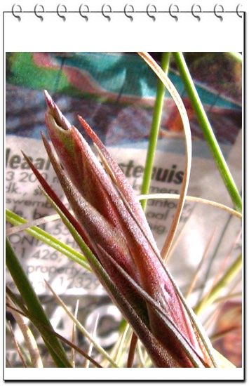 �����Ŀ������汦��~~~