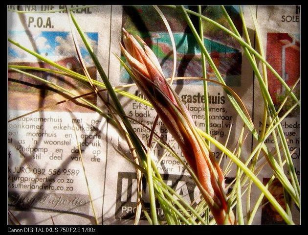 �����Ŀ������汦��~~~