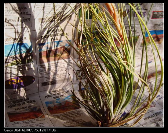 �����Ŀ������汦��~~~