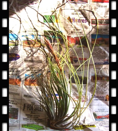 �����Ŀ������汦��~~~