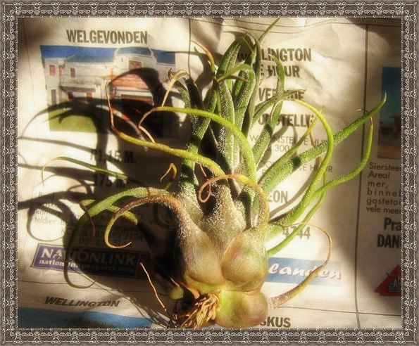 �����Ŀ������汦��~~~