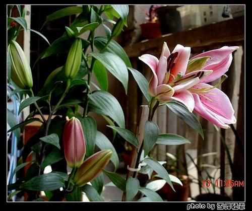 �Ұٺ�Ҳ�д��졭����������ʼ��