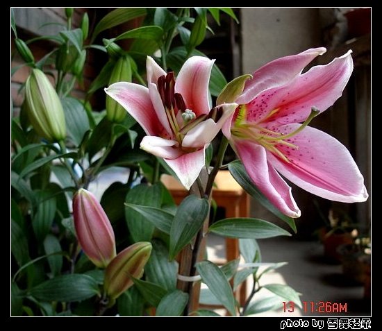 �Ұٺ�Ҳ�д��졭����������ʼ��