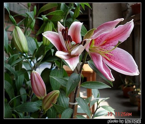 �Ұٺ�Ҳ�д��졭����������ʼ��