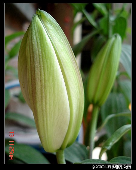 �Ұٺ�Ҳ�д��졭����������ʼ��