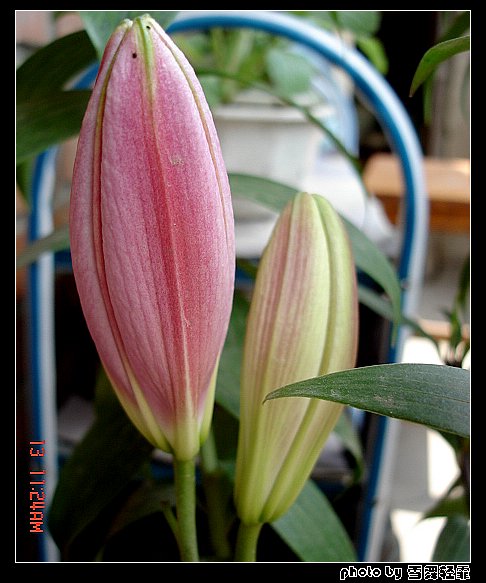 �Ұٺ�Ҳ�д��졭����������ʼ��