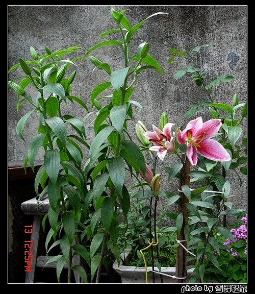 �Ұٺ�Ҳ�д��졭����������ʼ��