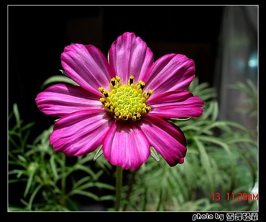 ż�Ҳ�˹ҲҪ������