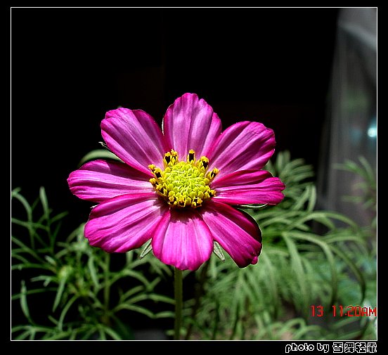 ż�Ҳ�˹ҲҪ������