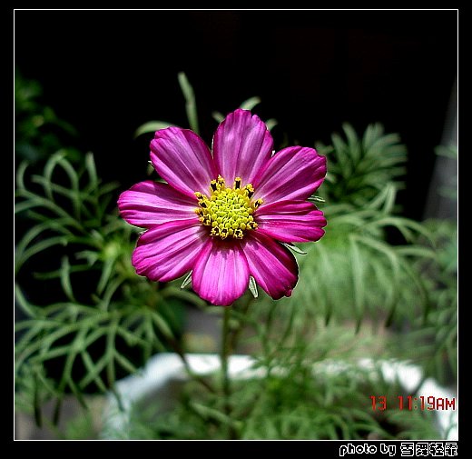 ż�Ҳ�˹ҲҪ������