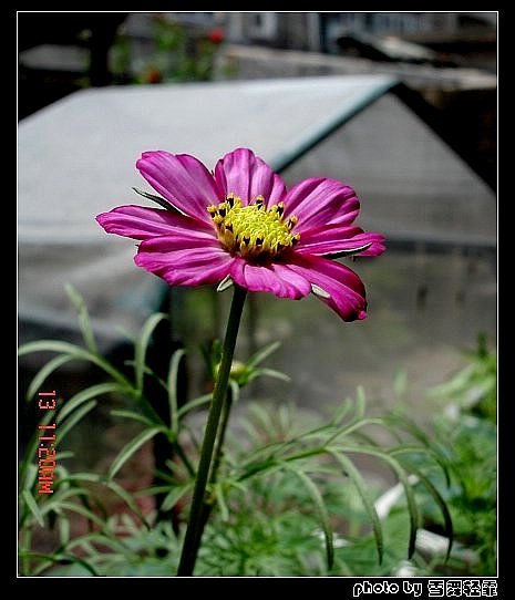 ż�Ҳ�˹ҲҪ������