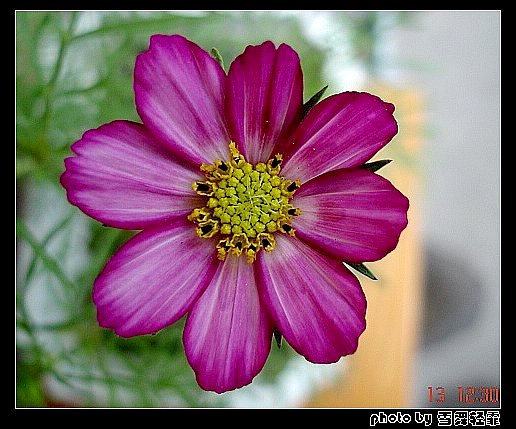 ż�Ҳ�˹Ҳ��������