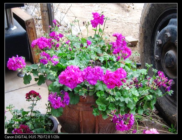 ��������ݮ԰��~~���ÿ�~~