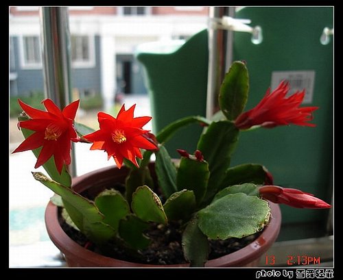 �˳�������~~