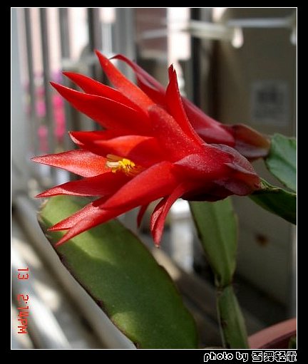 �˳�������~~