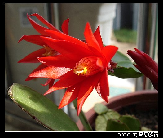 �˳�������~~