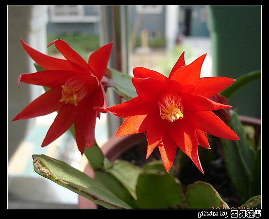 �˳�������~~