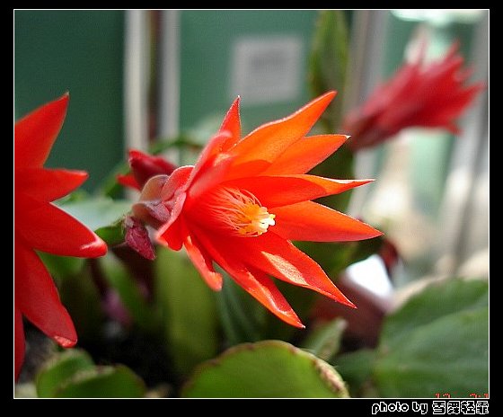 �˳�������~~