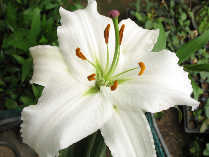 �Ұٺ�Ҳ�д��졭����������ʼ��