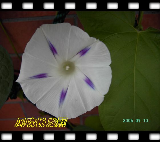 ѫ�¾տ��˺�����