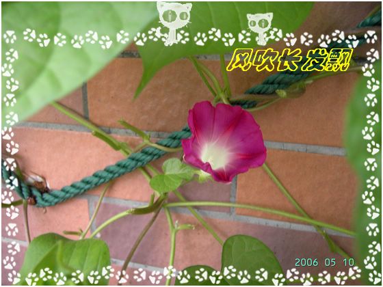 ѫ�¾տ��˺�����