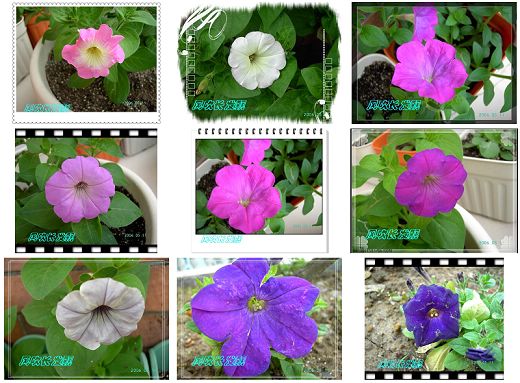 ѫ�¾տ��˺�����